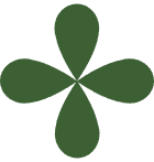 union-leaf clover icon